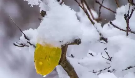 Wielkanocne anomalie pogodowe - jak będzie?