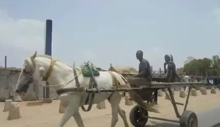 Średzianie w podróży dookoła świata - Senegal (cz. II)