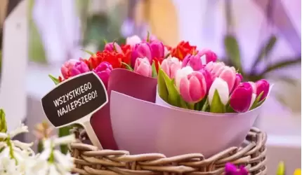 Wszystkiego najlepszego z okazji Dnia Kobiet życzy Leszek Maciejewski