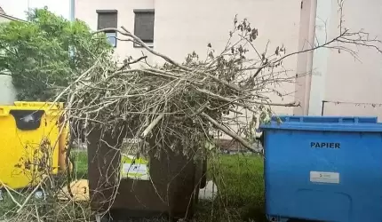 Mandat za gałęzie w pojemnikach na śmieci