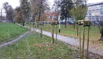 Blisko 60 nowych drzew w mieście i gminie