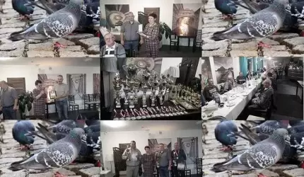 Hodowcy gołębi pocztowych dziękują!