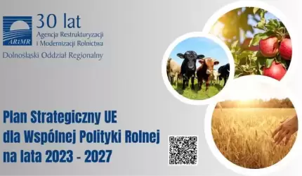 Wsparcie bezpośrednie i obszarowe – środki Wspólnej Polityki Rolnej w zasięgu ręki polskiego rolnika