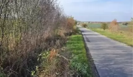 OSiR porządkuje zieleń w sołectwach