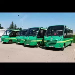 Cztery zielone autobusy z żółtymi pasami zaparkowane na parkingu pod czystym, błękitnym niebem.