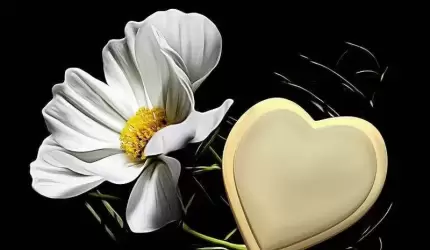 Podziękowanie za udział w uroczystości pogrzebowej