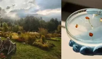 Coraz bliżej natury. Unia Europejska wspiera ochronę środowiska i udostępnianie zasobów przyrodniczych