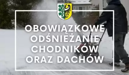 Obowiązkowe odśnieżanie chodników oraz dachów