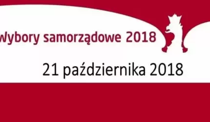 Gdzie i jak głosować 21 października? Dojedź na głosowanie z ŚKP!