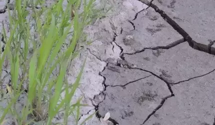 Wniosek oszacowania szkód w gospodarstwie rolnym