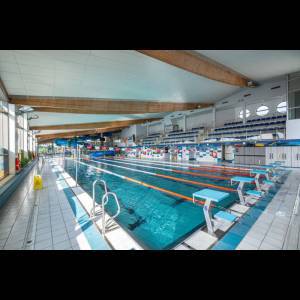 Indoor swimming pool with lanes, diving blocks, and spectator seating under a wooden ceiling. Clean and bright environment.