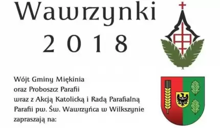 Festyn parafialny w Wilkszynie