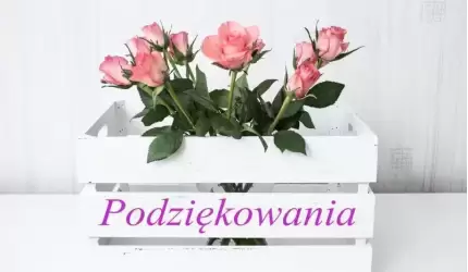 Podziękowania za pomoc w odnalezieniu Pani Danuty