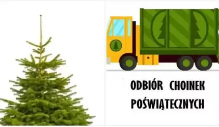 Gmina Malczyce: Odbiór poświątecznych choinek 30 stycznia