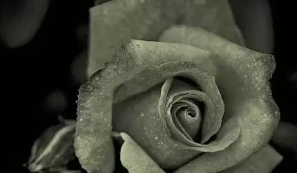 Kondolencje dla Rodziny śp. Andrzeja Ząbka