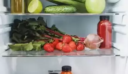 Lodówki – ekonomiczne i funkcjonalne