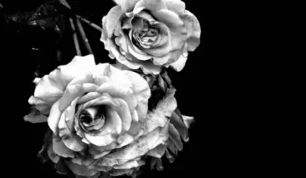 Kondolencje dla Rodziny śp. Zbigniewa Hellona