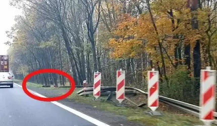 Najechał na dzika i uderzył w barierki