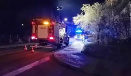 Kot na drzewie, wyciek gazu, pożary (z raportu strażaków)