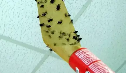 Mieszkańcy: "Pełno much i uciążliwy odór"