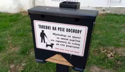Masz psa? Na spacerze pamiętaj o woreczku na odchody