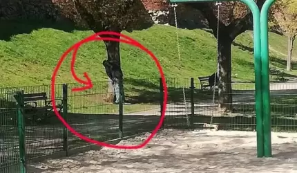 "Załatwiają swoje potrzeby na oczach dzieci" (list)