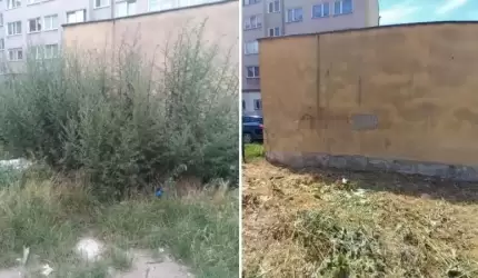 Spółka OSiR porządkuje miasto