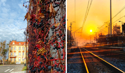 Blisko 100 jesiennych kadrów – oto laureaci konkursu fotograficznego