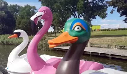 Nowy flaming i łabędź na przystani akwenu Kajaki