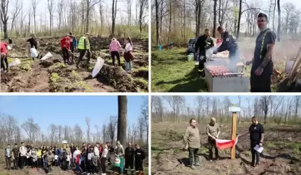 Na terenie Gminy Udanin posadzono ok. 6 tysięcy drzew!